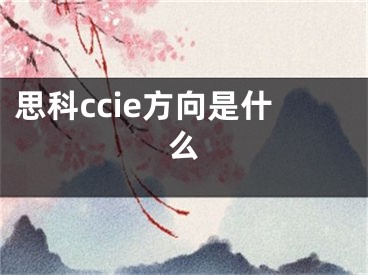 思科ccie方向是什么