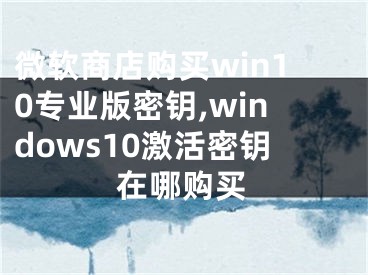 微軟商店購(gòu)買(mǎi)win10專(zhuān)業(yè)版密鑰,windows10激活密鑰在哪購(gòu)買(mǎi)