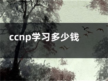 ccnp學(xué)習(xí)多少錢