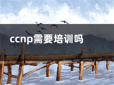 ccnp需要培訓嗎