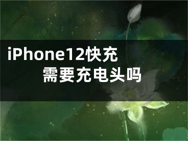 iPhone12快充需要充電頭嗎