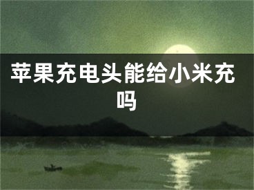 蘋果充電頭能給小米充嗎