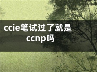 ccie筆試過了就是ccnp嗎