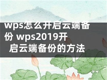 wps怎么開啟云端備份 wps2019開啟云端備份的方法 