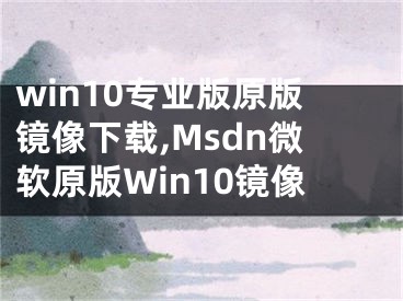 win10專業(yè)版原版鏡像下載,Msdn微軟原版Win10鏡像