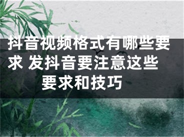 抖音視頻格式有哪些要求 發(fā)抖音要注意這些要求和技巧 