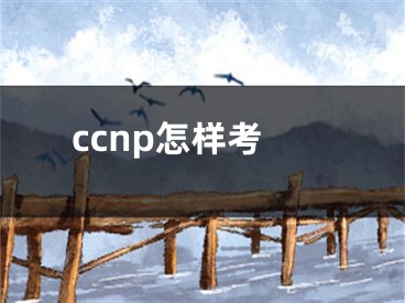 ccnp怎樣考