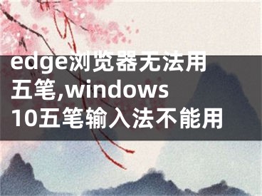 edge瀏覽器無(wú)法用五筆,windows10五筆輸入法不能用