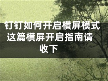 釘釘如何開(kāi)啟橫屏模式 這篇橫屏開(kāi)啟指南請(qǐng)收下 