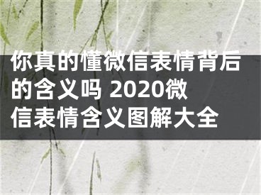 你真的懂微信表情背后的含義嗎 2020微信表情含義圖解大全 