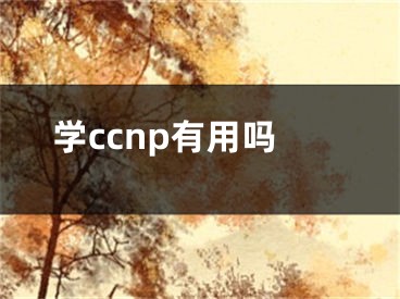 學(xué)ccnp有用嗎