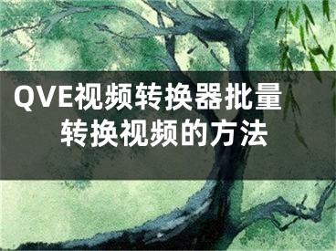 QVE視頻轉換器批量轉換視頻的方法