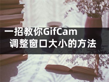 一招教你GifCam調(diào)整窗口大小的方法