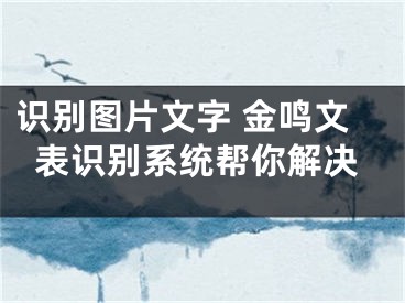 識(shí)別圖片文字 金鳴文表識(shí)別系統(tǒng)幫你解決