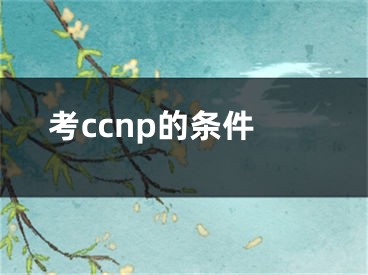 考ccnp的條件