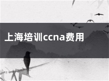 上海培訓(xùn)ccna費(fèi)用