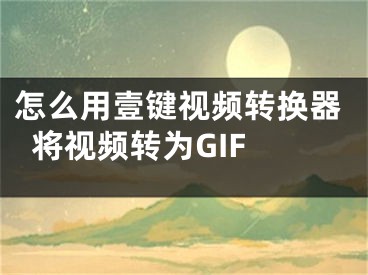 怎么用壹鍵視頻轉(zhuǎn)換器將視頻轉(zhuǎn)為GIF 