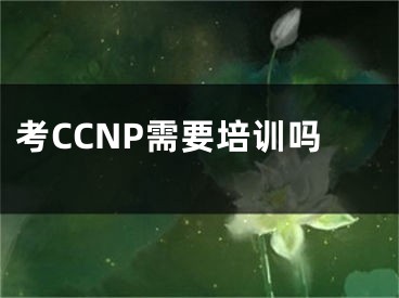 考CCNP需要培訓(xùn)嗎