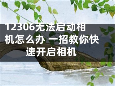 12306無法啟動(dòng)相機(jī)怎么辦 一招教你快速開啟相機(jī) 