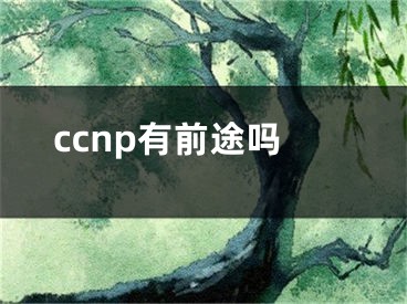 ccnp有前途嗎