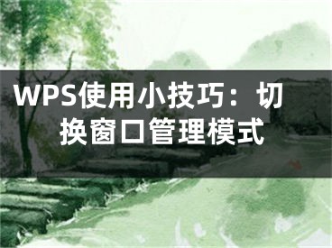 WPS使用小技巧：切換窗口管理模式