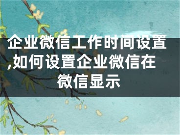 企業(yè)微信工作時(shí)間設(shè)置,如何設(shè)置企業(yè)微信在微信顯示