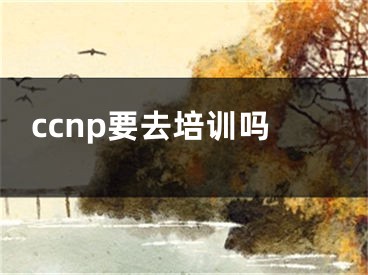 ccnp要去培訓(xùn)嗎