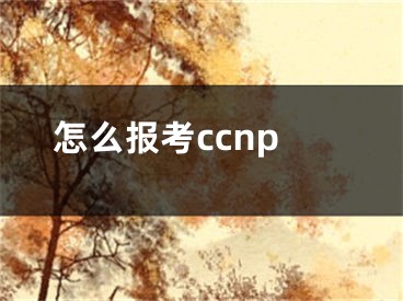 怎么報考ccnp