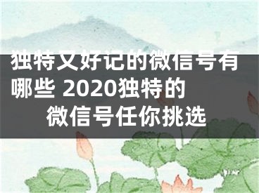 獨(dú)特又好記的微信號(hào)有哪些 2020獨(dú)特的微信號(hào)任你挑選