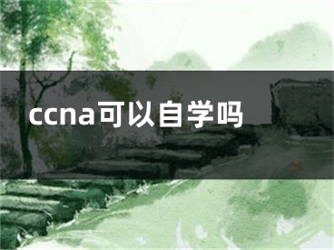 ccna可以自學(xué)嗎