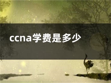 ccna學費是多少