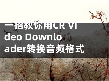 一招教你用CR Video Downloader轉(zhuǎn)換音頻格式