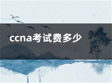 ccna考試費多少