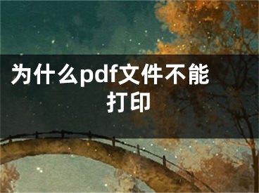 為什么pdf文件不能打印