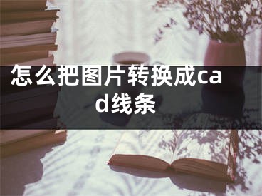 怎么把圖片轉(zhuǎn)換成cad線條