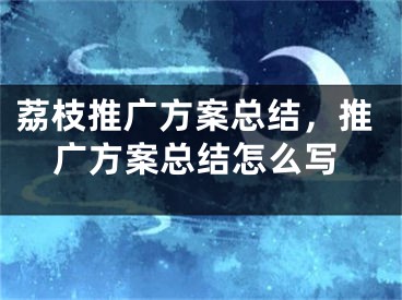 荔枝推廣方案總結(jié)，推廣方案總結(jié)怎么寫