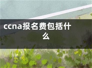 ccna報名費包括什么