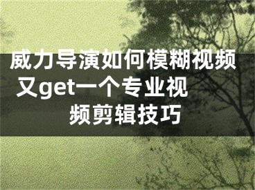 威力導演如何模糊視頻 又get一個專業(yè)視頻剪輯技巧