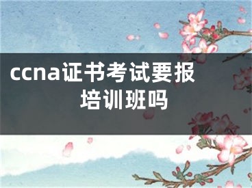 ccna證書考試要報培訓(xùn)班嗎