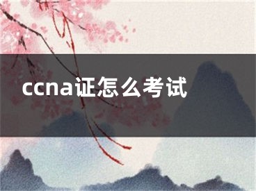 ccna證怎么考試