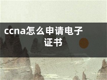 ccna怎么申請(qǐng)電子證書