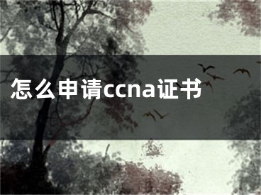 怎么申請(qǐng)ccna證書(shū)