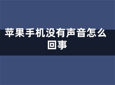 蘋果手機沒有聲音怎么回事