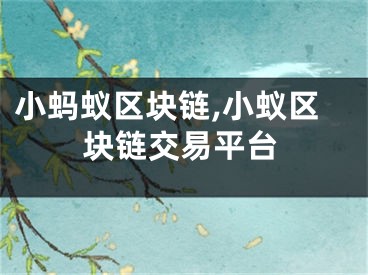 小螞蟻區(qū)塊鏈,小蟻區(qū)塊鏈交易平臺(tái)