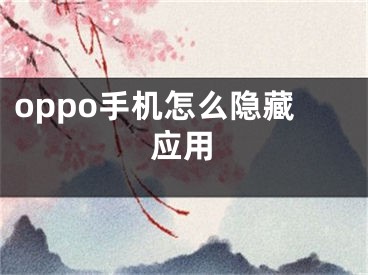 oppo手機怎么隱藏應(yīng)用