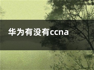 華為有沒有ccna