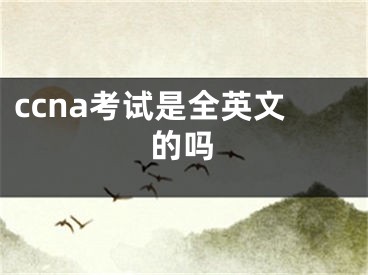 ccna考試是全英文的嗎