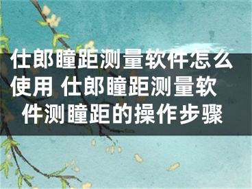 仕郎瞳距測(cè)量軟件怎么使用 仕郎瞳距測(cè)量軟件測(cè)瞳距的操作步驟