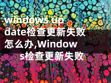 windows update檢查更新失敗怎么辦,Windows檢查更新失敗