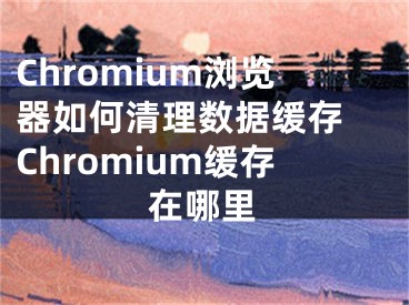 Chromium瀏覽器如何清理數(shù)據(jù)緩存 Chromium緩存在哪里